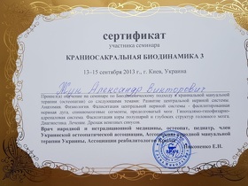 Сертифікат №2